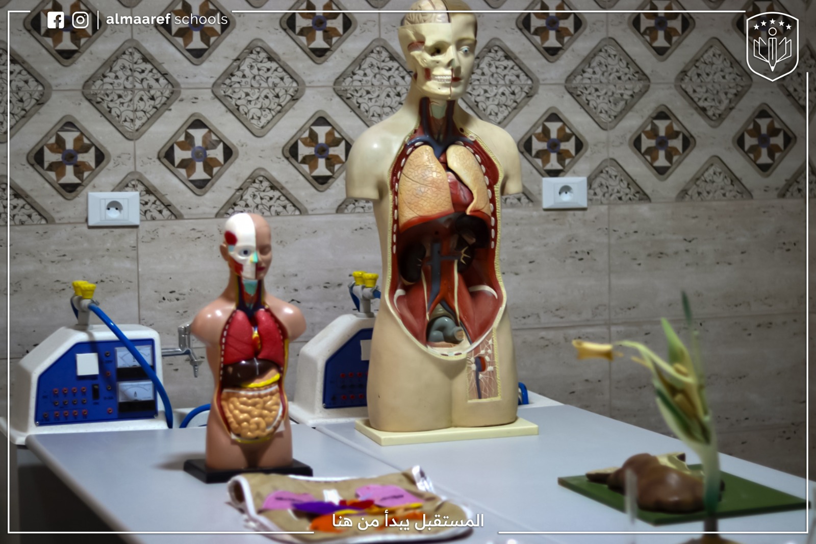 صورة من مدارس المعارف 4